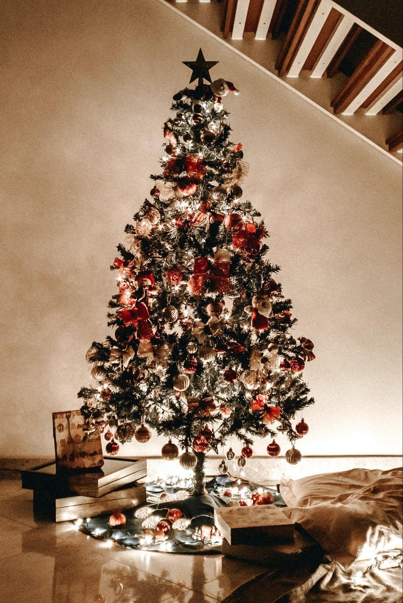 The Environmental Impact of Christmas Trees: Truth vs. Myths
