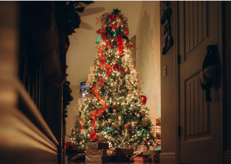 Find the Perfect Christmas Tree and Lights for Sale